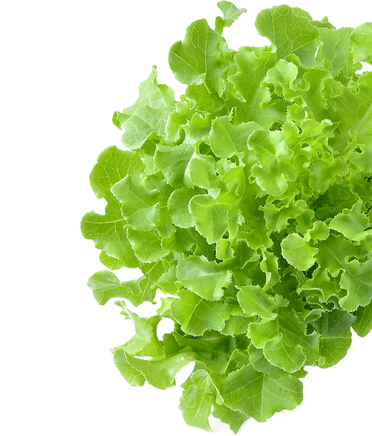 nutrion-left